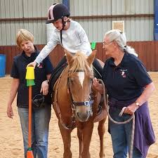 Image result for Riding For The Disabled Association