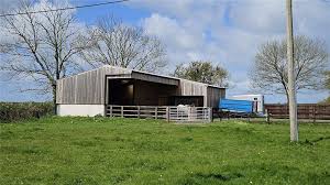 Image result for Buckhorn Weston Cricket Club