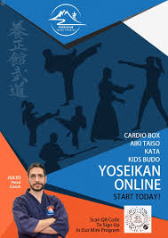 Image result for Yoseikan Budo England