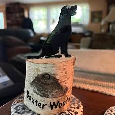 Image result for Baxter AMICUS