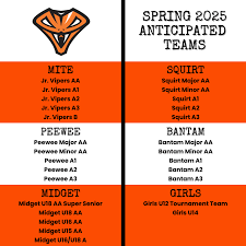 Image result for Glasgow Vipers Roller Hockey Club