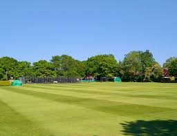 Image result for Selsted Cricket Club