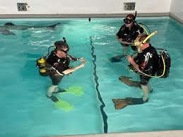 Image result for Swindon Amateur Swimming Club