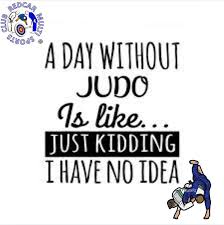 Image result for Redcar Judo Club, Cleveland