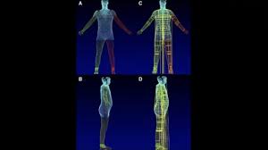 Image result for body scanner