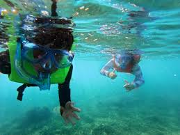 Image result for Wyndley NSC Snorkelling Club
