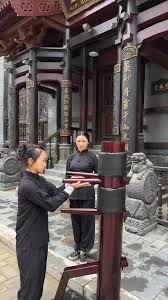 Image result for Alton Autodefence Wing Tchun