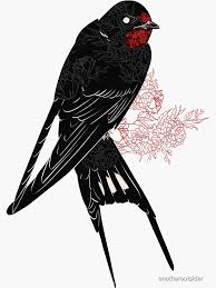 Attēlu rezultāti vaicājumam “Hirundo rustica”