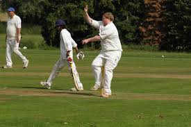 Image result for Louth Cricket Club