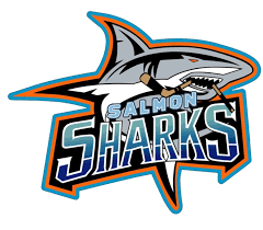 Image result for South Axholme Sharks Asc