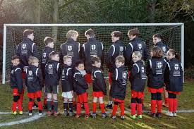 Image result for Walton & Hersham Football Club