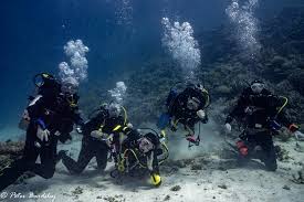 Image result for Maidstone Sub Aqua Club