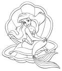 Clam coloring page