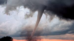 Image result for Tadcaster Tornadoes
