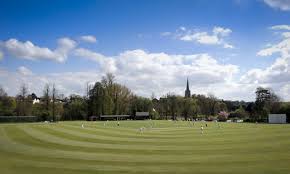 Image result for Saffron Walden Cricket Club