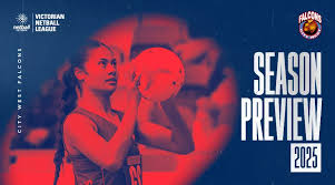 Image result for Falcons Netball Club