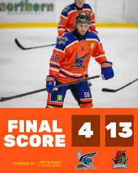 Image result for Sheffield Scimitars