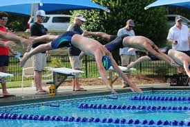 Image result for Black Country Barracudas Sub Aqua Club