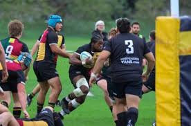 Image result for Harpenden Rugby Club