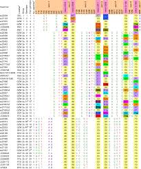 Attēlu rezultāti vaicājumam “Trichia varia sessile”