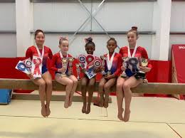 Image result for Carousel School Of Gymnastics