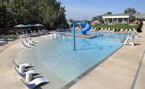 Image result for York University Pool Club