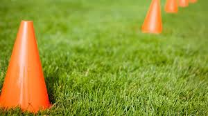 Image result for Victoria Rangers A R L F C