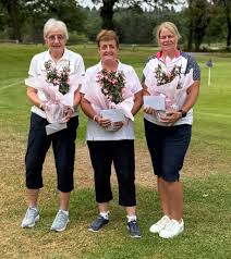 Image result for Leatherhead Swans Club