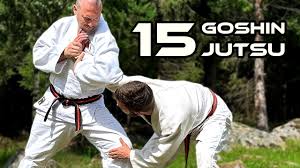 Image result for British Karate Shunen Jutsu