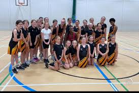 Image result for Fireflys Badminton Club