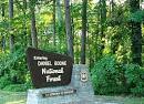 The Real Daniel Boone