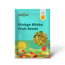 Attēlu rezultāti vaicājumam “Ginkgo biloba fruit”