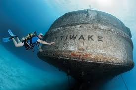 Image result for Seabug Divers