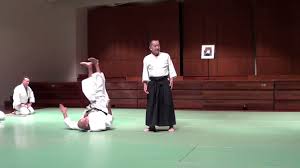 Image result for Goryukai Aikido Yoshinkan (Chichester)