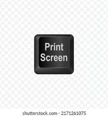 Image result for print screen