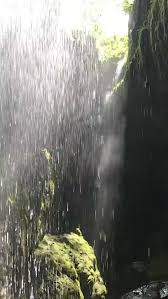 Image result for Yorkshire Subterranean Society