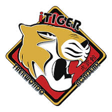 Image result for Invertay Taekwondo Club