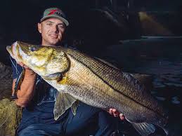 Image result for biojack tehron