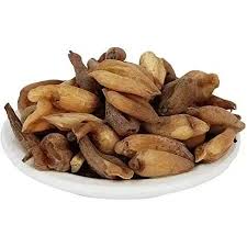 Attēlu rezultāti vaicājumam “Colchicum luteum”