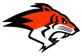 Image result for Glasgow Tigers Flag Football