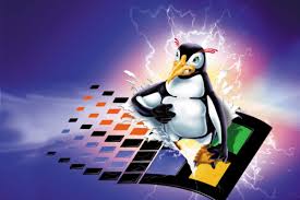 Image result for linux penguin