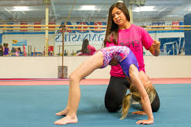 Image result for Tessaro Gymnastics Club