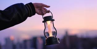 Attēlu rezultāti vaicājumam “Lamproderma debile”