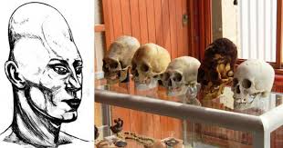 Image result for elongated skulls