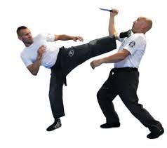 Image result for Combined self defence arts