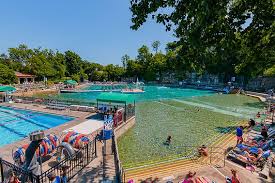 Image result for Leek Swimming Club