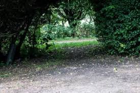 Image result for Letchworth Garden City Bowls Club