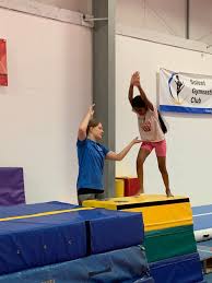 Image result for Harlequin Gymnastics Club