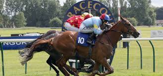 Image result for Ayr Riding Club