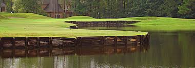 Image result for Windermere Rugby Club